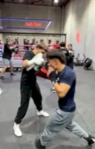 Boxing classes Grange Adelaide at Just Box boxing gym with group training and pad work